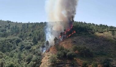 Incêndio no Candal avança em direção a Castanheira de Pera – Notícias de Coimbra