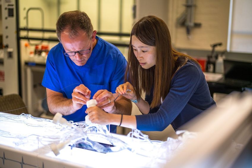 Professores Jeremy J. Heit e Renee Zhao demonstram como inserir o milispinner em um modelo de sistema circulatório humano • Aaron Kehoe/Universidade de Stanford