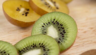 Kiwi pode ser o lanche perfeito; entenda