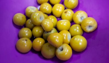O murici, apelidado de "fruta de ouro", contém o dobro de proteínas da banana