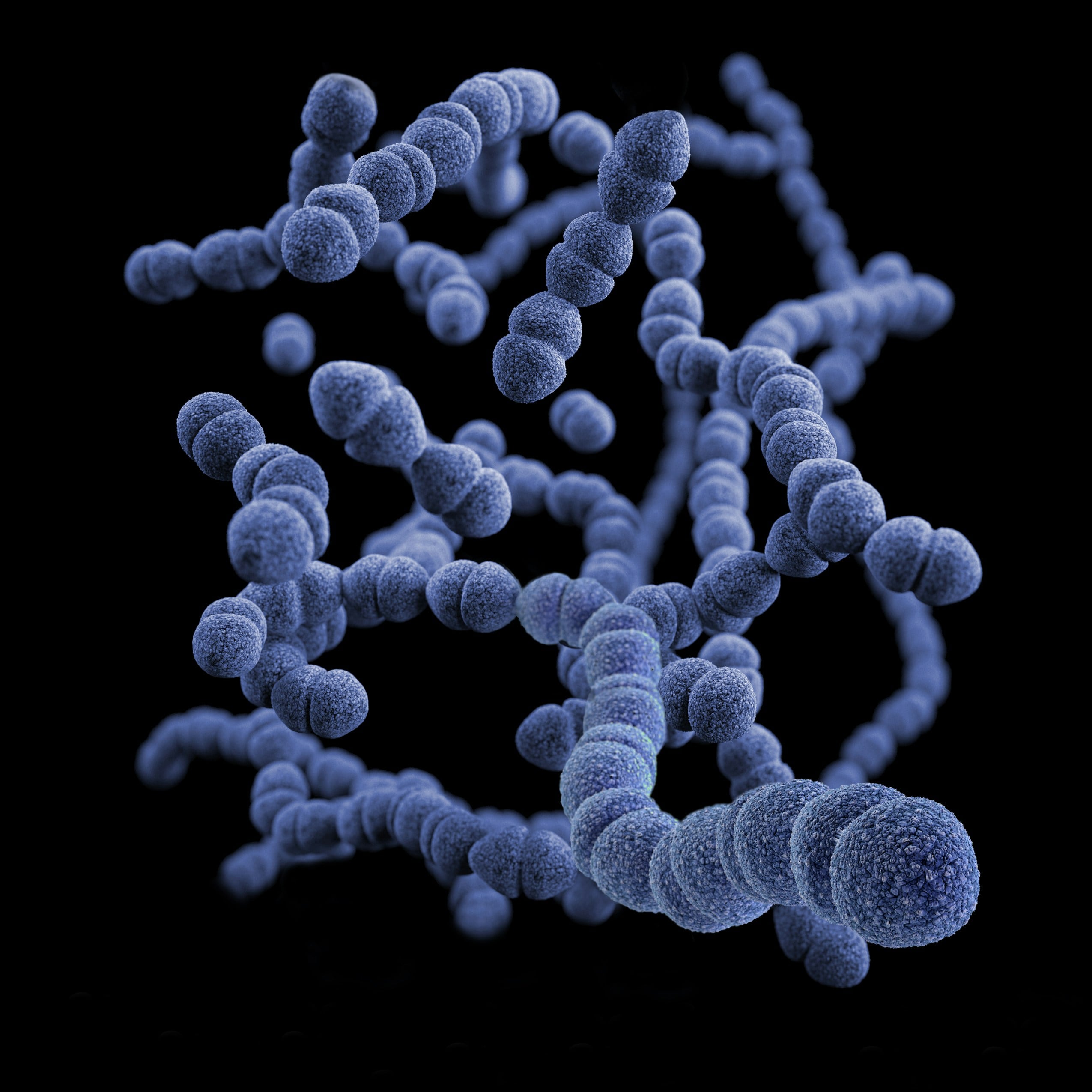Doença do legionário é uma forma grave de pneumonia