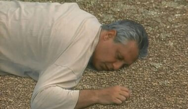 Otávio Jordão é a segunda morte de A Viagem