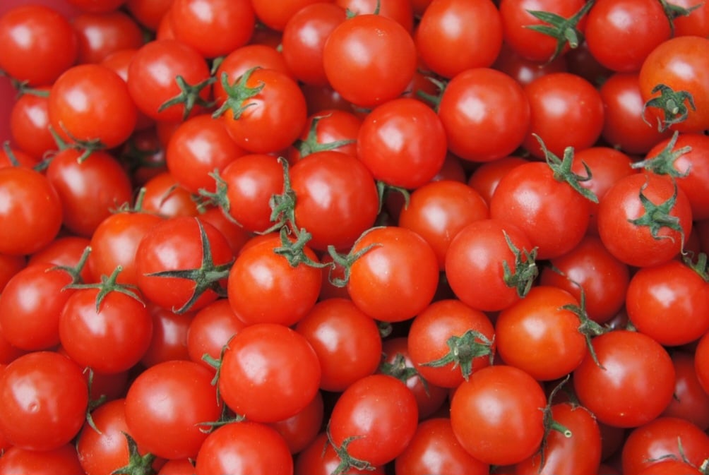 Com o tempo, a culinária europeia passou a incorporar o tomate em seus pratos, especialmente na Itália (século XVI), onde foi batizado de "pomodoro" (maçã de ouro).-Pixabay