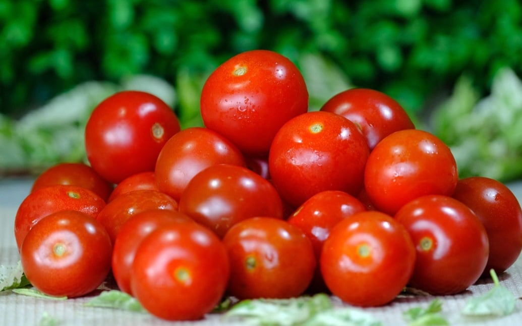 Nativo da Cordilheira dos Andes, em regiões de elevada altitude, que vão desde o norte do Chile até o Equador, o tomate era cultivado pelos povos indígenas, como os Incas, Maias e Astecas. -Pixabay