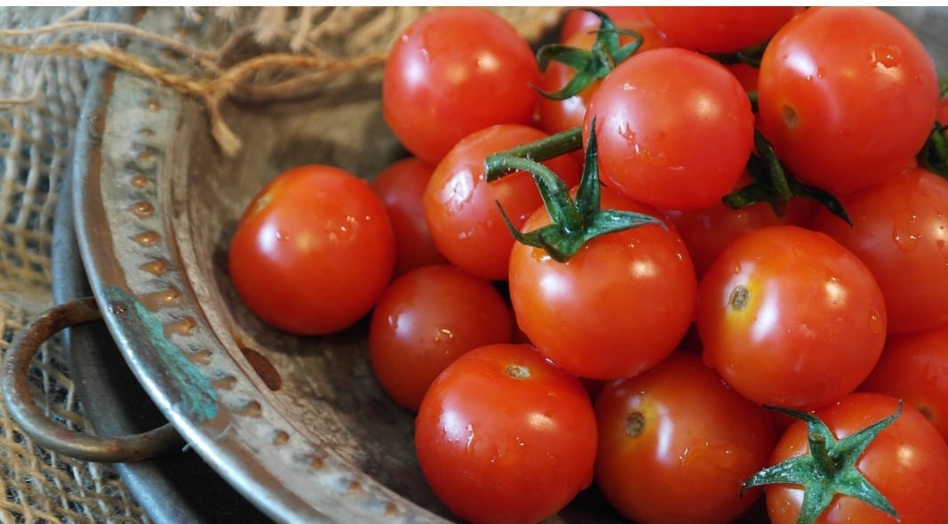 Seja em sua forma bruta ou transformado em molhos, sucos e ketchups, o tomate é um alimento versátil, presente em diversas culinárias pelo mundo, sobretudo a brasileira e italiana. Rico em nutrientes e funcional, este fruto traz benefícios importantes à saúde. Confira!-Pixabay