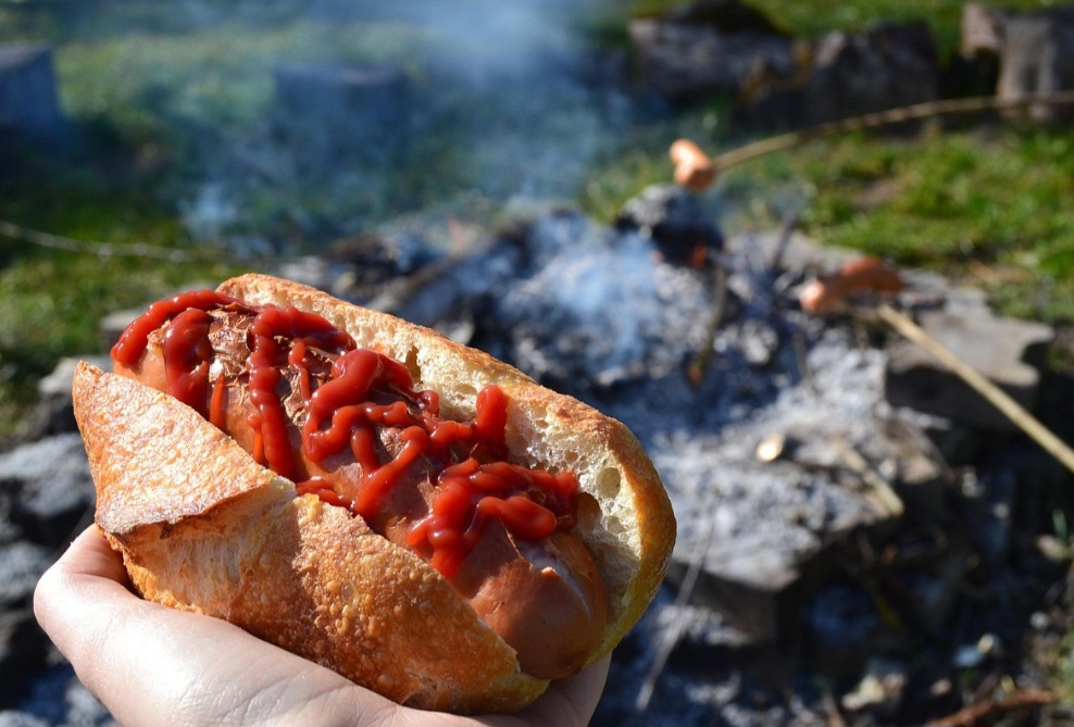 Em primeiro de fevereiro, é celebrado o dia do tomate, um dos ingredientes mais amados da gastronomia mundial. A maior incidência deste alimento é em massas, cachorros quentes e pizzas, seja na sua forma concreta ou como ketchup.-Pixabay