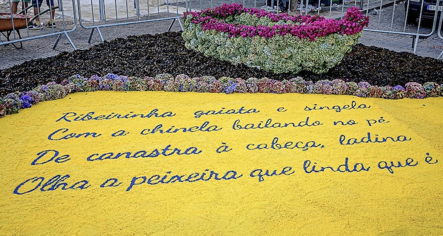 Viana acordou embelezada com os tapetes de sal