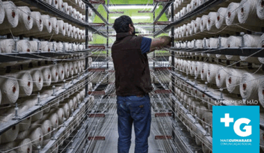 Gigantes do setor têxtil aflitas para pagar as contas