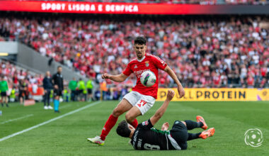 Regresso de Tomás Araújo deverá causar uma 'vítima' no Benfica