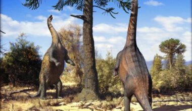 Jornal da Unesp | Dinossauros de pescoço longo eram capazes de se sustentar sobre duas patas