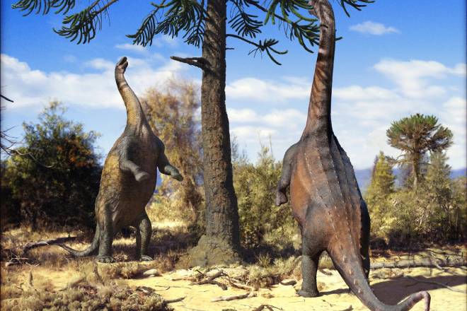 Jornal da Unesp | Dinossauros de pescoço longo eram capazes de se sustentar sobre duas patas