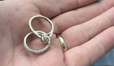 Homem recupera anéis de diamante da esposa após serem jogadas no lixo no Canadá