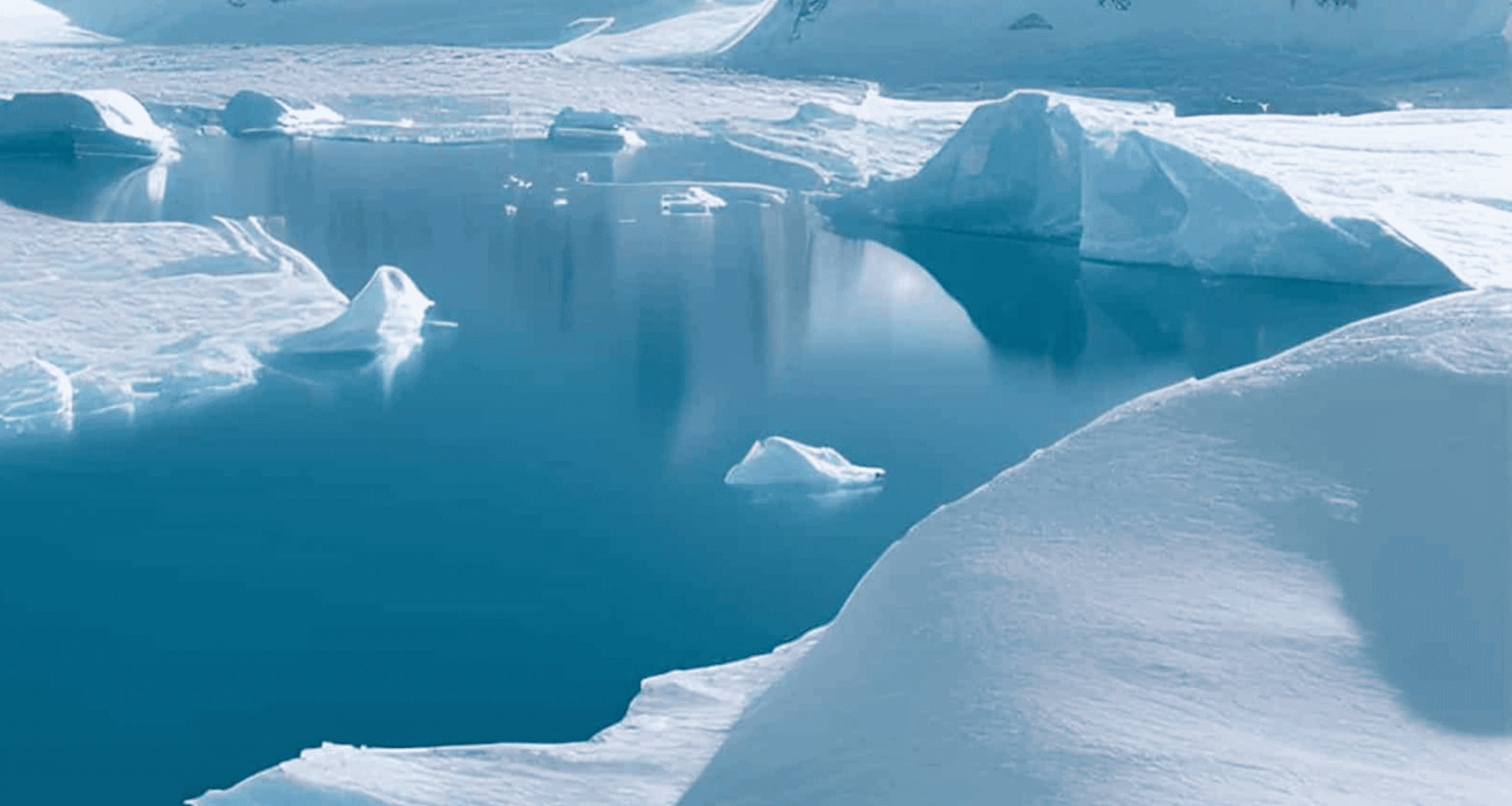Lama da Antártida pode ajudar a combater as mudanças climáticas