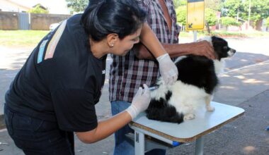 Naviraí inicia na segunda-feira a Campanha de Vacinação Antirrábica na zona rural