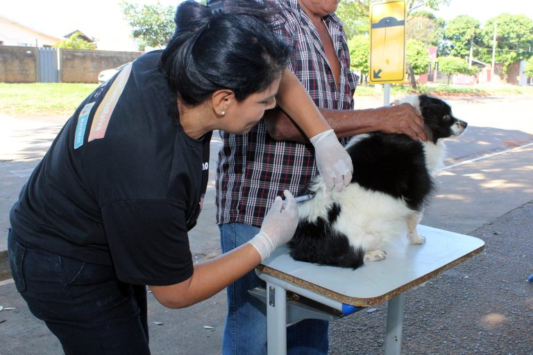 Naviraí inicia na segunda-feira a Campanha de Vacinação Antirrábica na zona rural