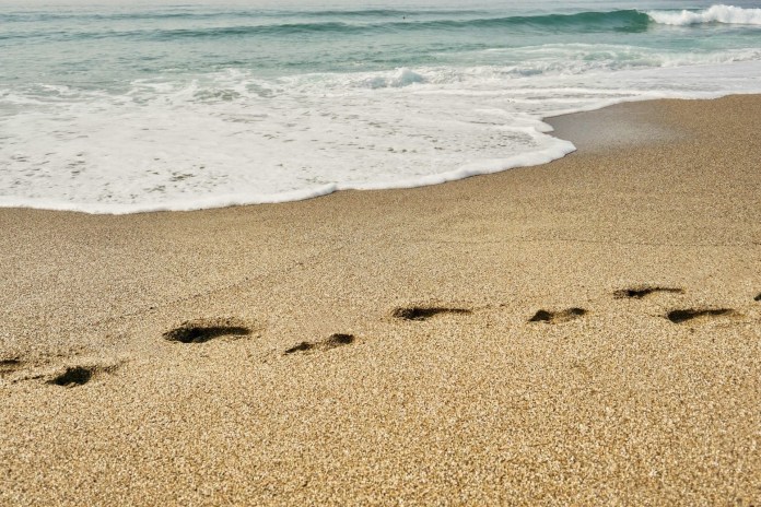 Aumento de bactérias marinhas na praia