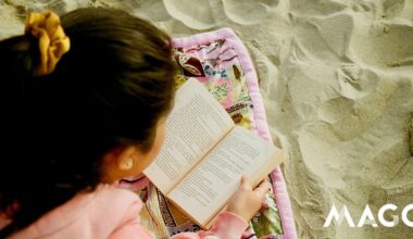12 sugestões de romances leves e de sucesso para ler neste verão (na praia ou na piscina) - Livros