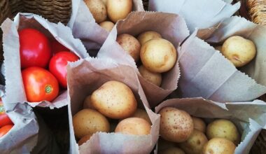 Surpresa: a batata nasceu do encontro de um antepassado do tomate com uma flor silvestre