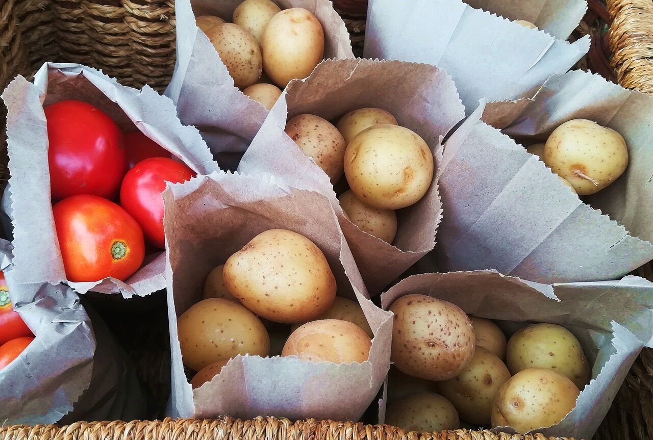 Surpresa: a batata nasceu do encontro de um antepassado do tomate com uma flor silvestre