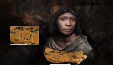 Há 800 mil anos os humanos arcaicos comiam as suas crianças