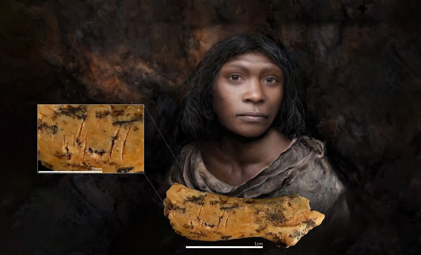 Há 800 mil anos os humanos arcaicos comiam as suas crianças