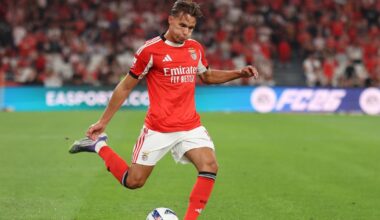 É impossível não Amar Dedic (as notas do Benfica)