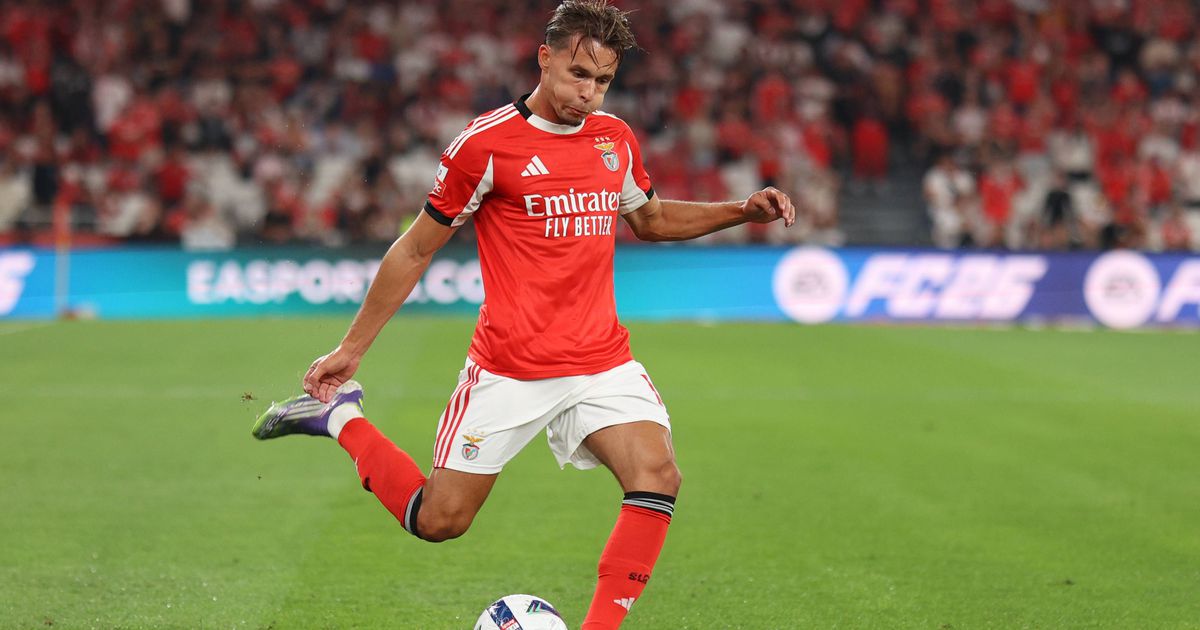 É impossível não Amar Dedic (as notas do Benfica)