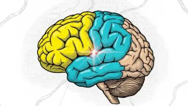 Pesquisa revela que lítio e Alzheimer estão ligados. Deficiência do mineral acelera doença, mas novo composto reverteu sintomas em camundongos