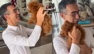 Cesar Tralli encanta ao apresentar nova integrante da família: “Que coisa maravilhosa”