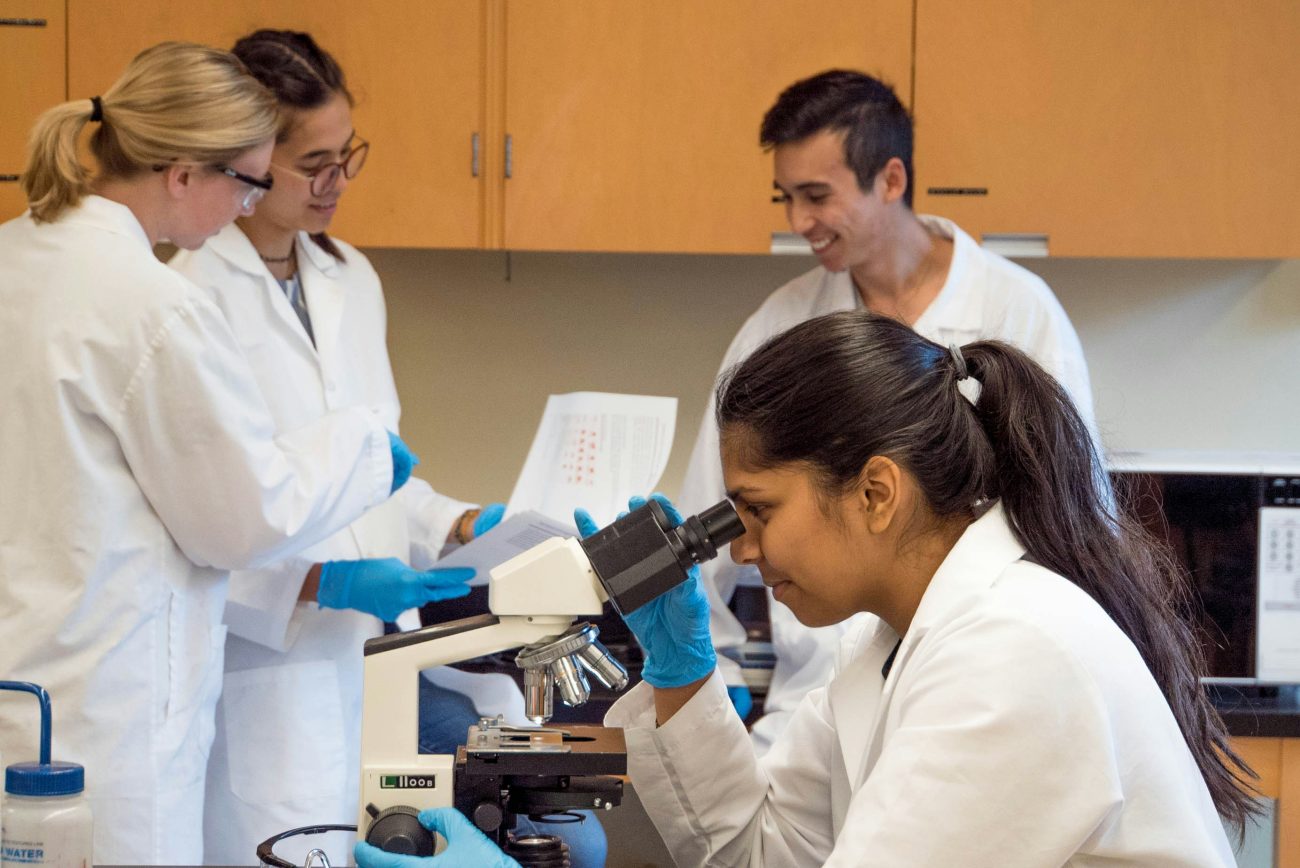 Pesquisadora observa amostras em microscópio enquanto outros cientistas analisam dados em laboratório, durante estudo com células T modificadas para detectar o câncer com mais precisão.