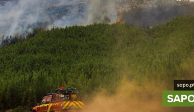 Retrato dos incêndios: 7 gráficos para entender porque e o que arde em Portugal - Atualidade - SAPO.pt