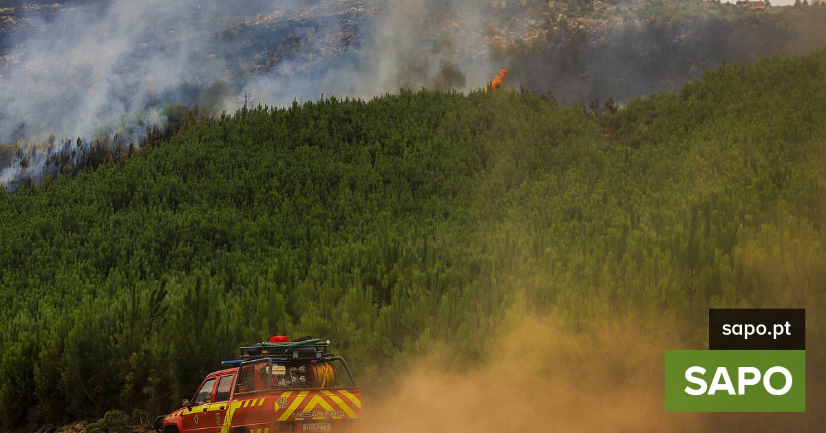 Retrato dos incêndios: 7 gráficos para entender porque e o que arde em Portugal - Atualidade - SAPO.pt
