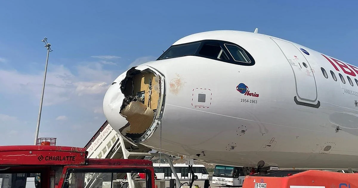Avião obrigado a aterragem de emergência em Madrid após chocar com ave de grande porte (com vídeos)