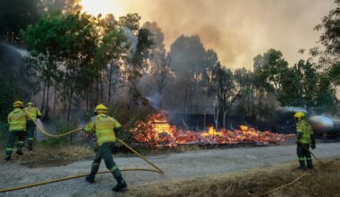 Incêndio de Trancoso aproxima-se de povoações e faz seis feridos. Detido suspeito de atear fogos em Gondomar - Diário de Notícias