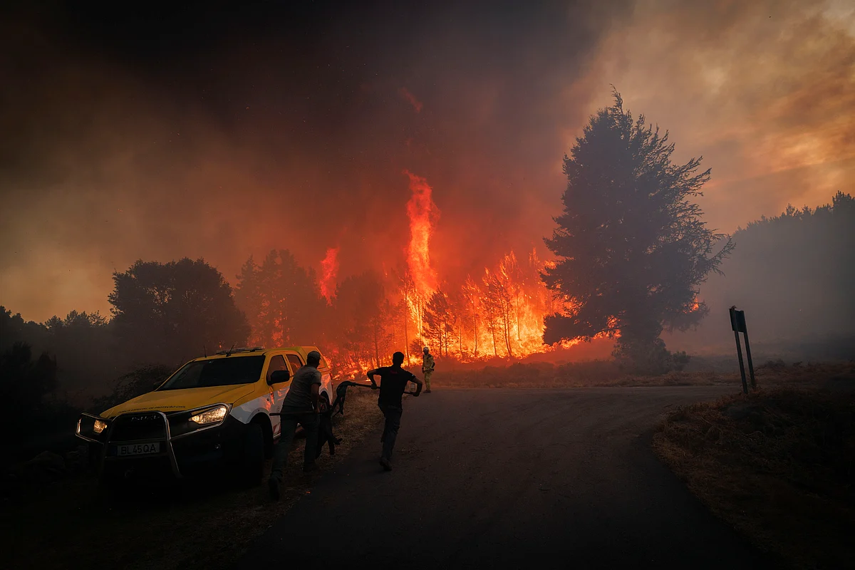 Acompanhe aqui tudo sobre os incêndios em Portugal