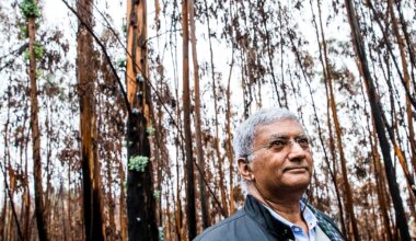 "Os grandes incêndios estão a ser cada vez maiores" e este ano é "particularmente grave"