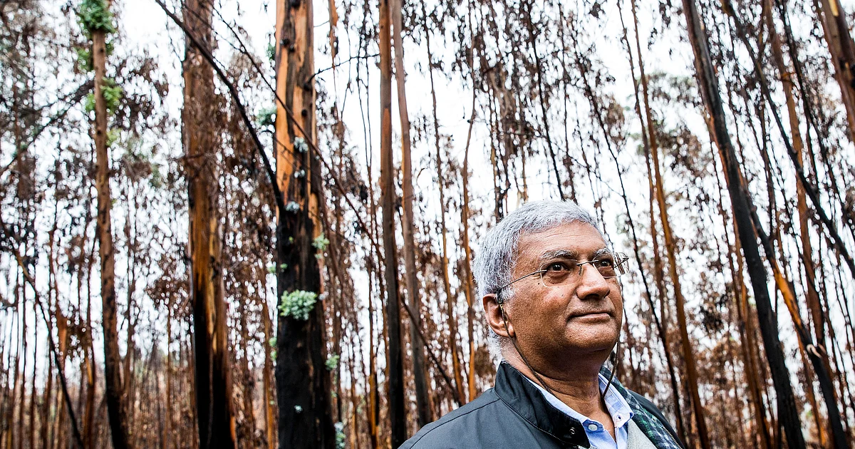 "Os grandes incêndios estão a ser cada vez maiores" e este ano é "particularmente grave"