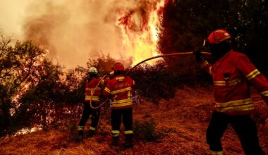 Morre Homem Ferido em Incêndio Florestal