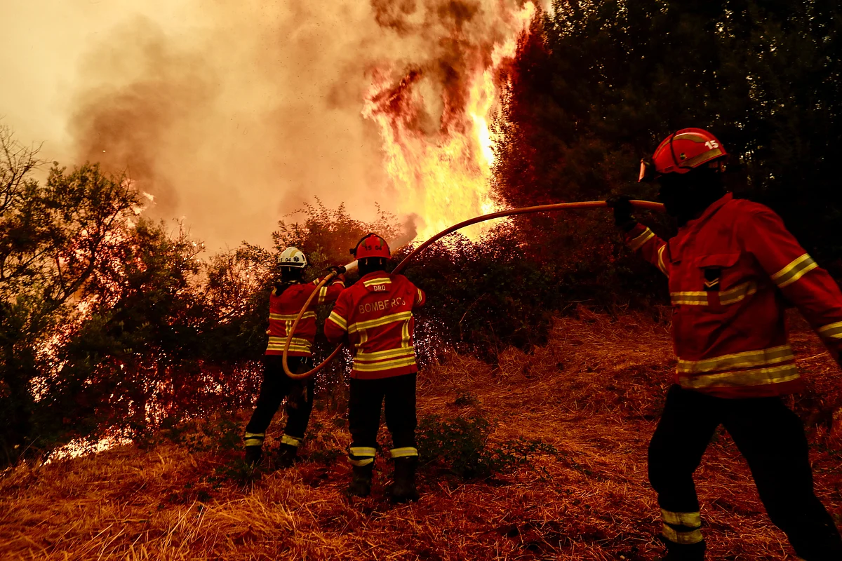 Morre Homem Ferido em Incêndio Florestal