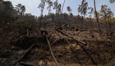 Incêndio em Mirandela faz um morto. Fogo em Arganil mobiliza mais meios