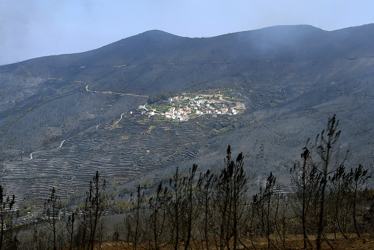 Bombeiros avisam que “não faz sentido haver incêndios de 11 dias em Portugal” - Diário de Notícias