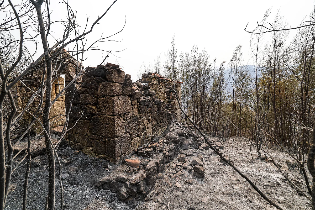 Continua combate ao incêndio de Arganil com mais de 1600 operacionais. Fogo em Chaves em fase de rescaldo