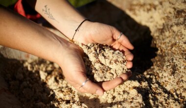 Primeira Aldeia Regenerativa da Europa é no Alentejo