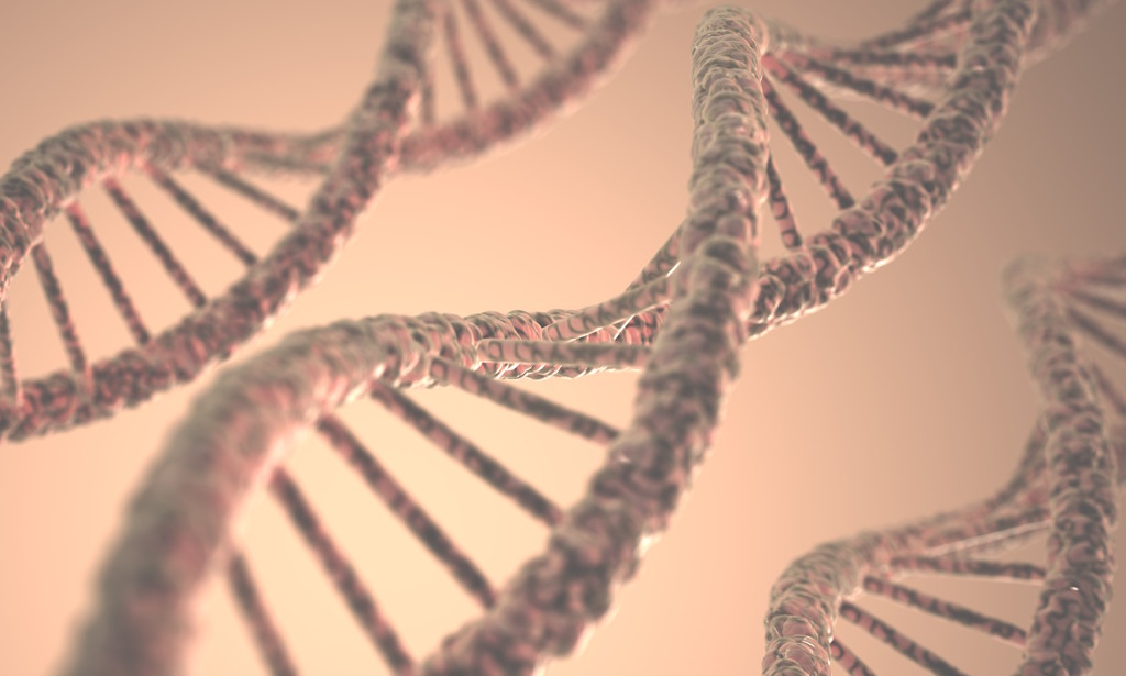 Variante genética protege contra doenças cardiovasculares, revela estudo da LMU