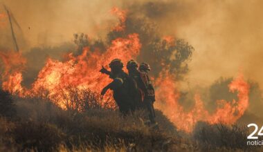 EUA: agentes de imigração detêm bombeiros que combatiam incêndio - Atualidade