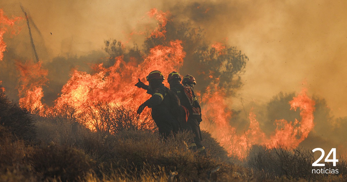 EUA: agentes de imigração detêm bombeiros que combatiam incêndio - Atualidade