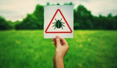 Revendo os Dados: Doença de Lyme