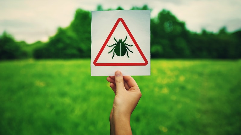 Revendo os Dados: Doença de Lyme