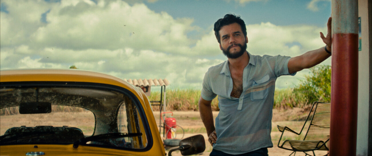 Revista norte-americana aposta em Wagner Moura no Oscar 2026