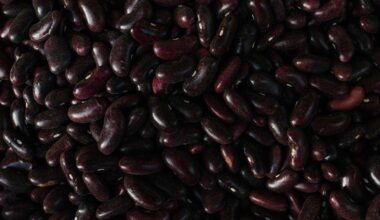 Esse alimento está no prato de muita gente, protege o coração e ajuda a emagrecer